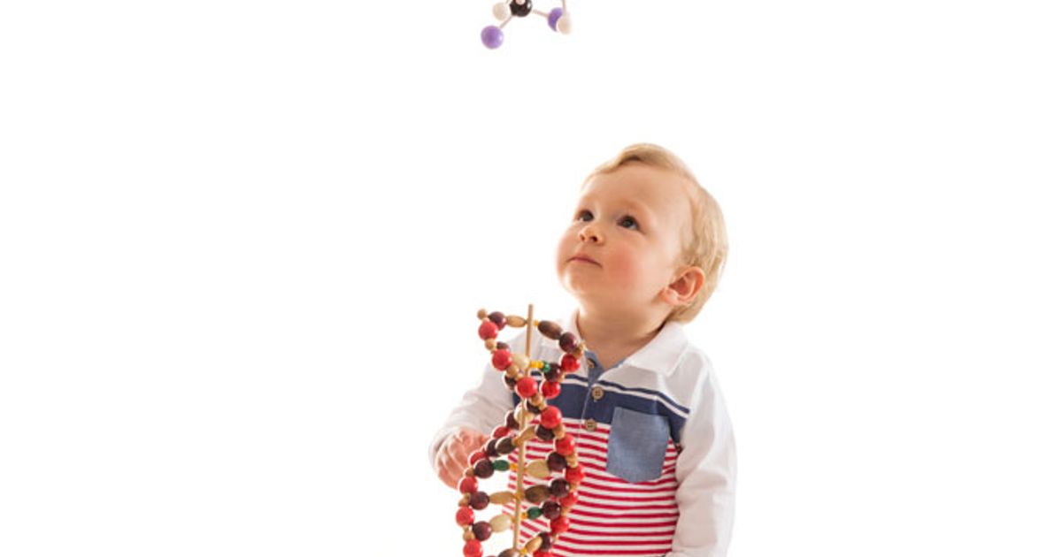 =C233 & " - Building-blocks-toy.com"""