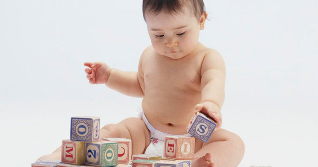 =C130 & " - Building-blocks-toy.com"""