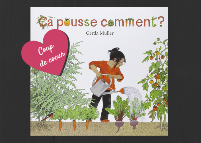 How Does It Grow? A Children's Book About Nature's Cycles