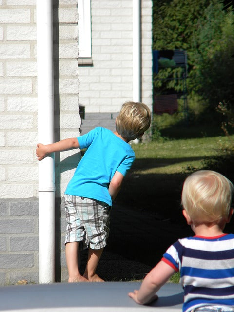 Hide and Seek Games for 2 and 3 Year Olds: The Order Guide