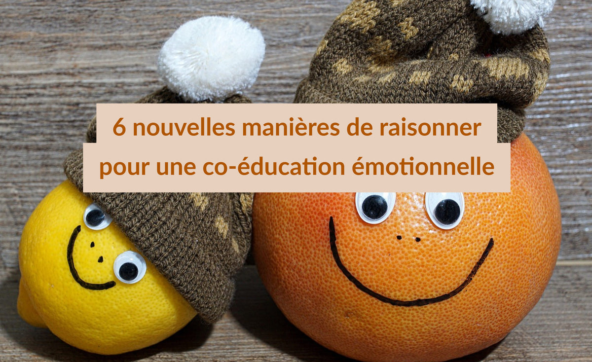 Emotional Co-Education: 6 New Ways of Reasoning for Parents