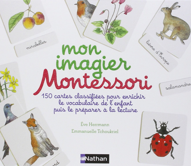 Montessori nomenclature cards: build vocabulary and reading