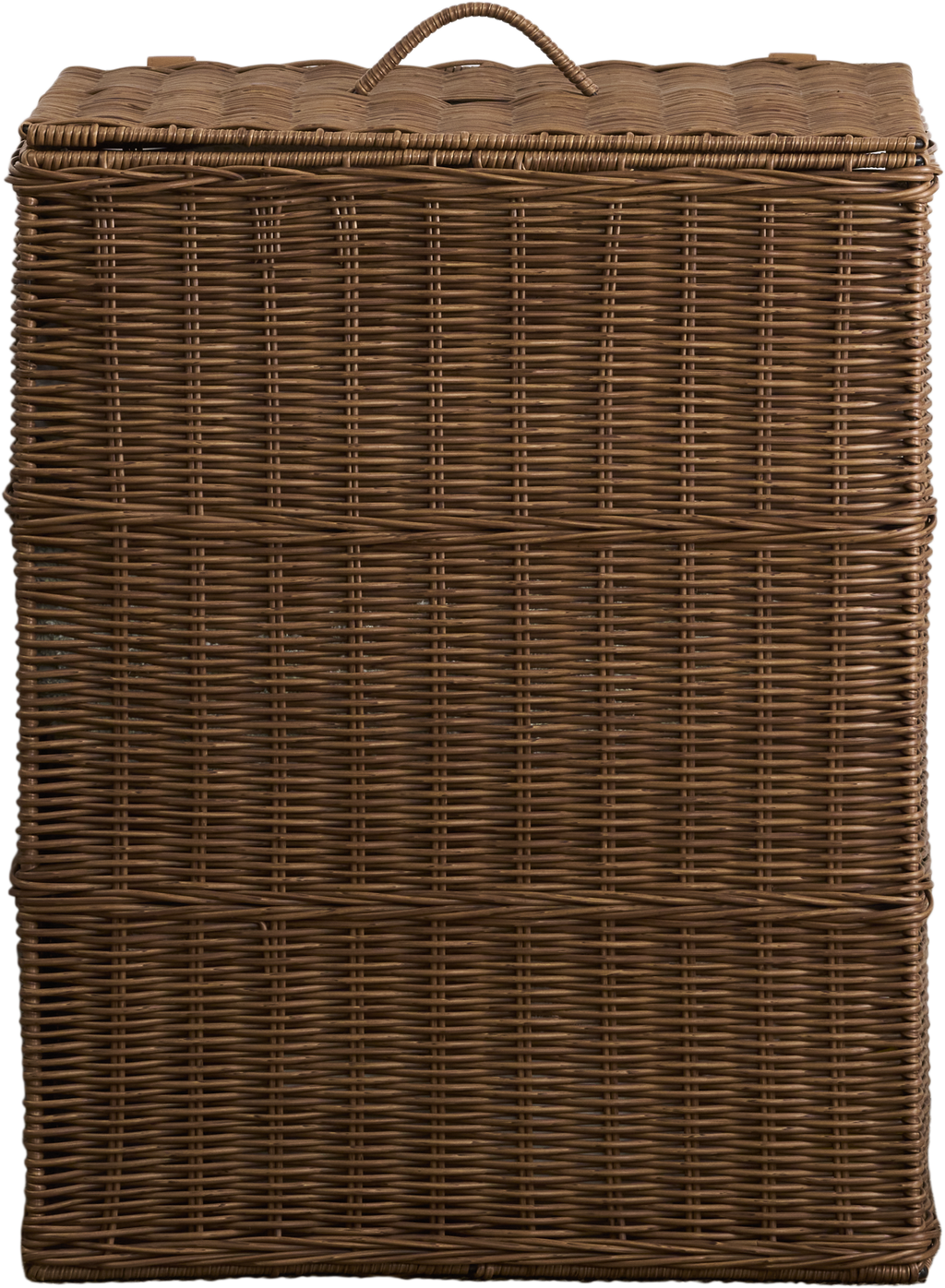 25264596
