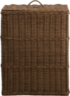25264596