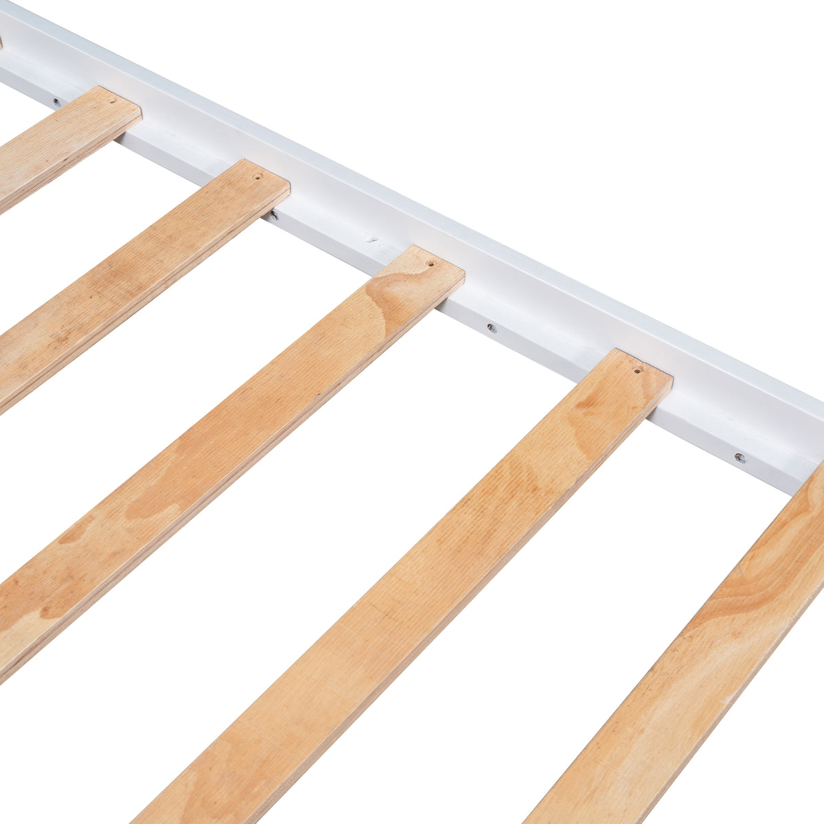 27495645