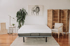 Omne Sleep 8' Gel Memory Foam Mattress Twin XL in White/Dark Gray