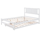 27495123
