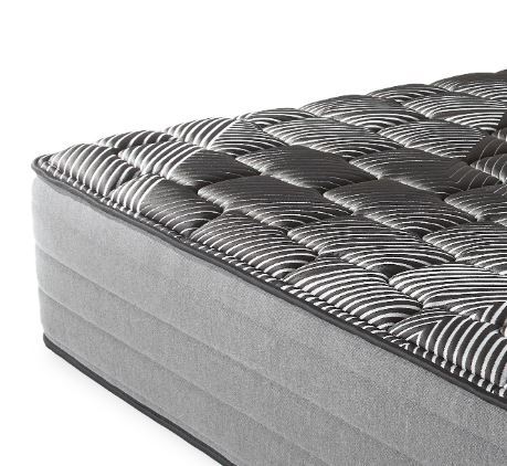 25270504