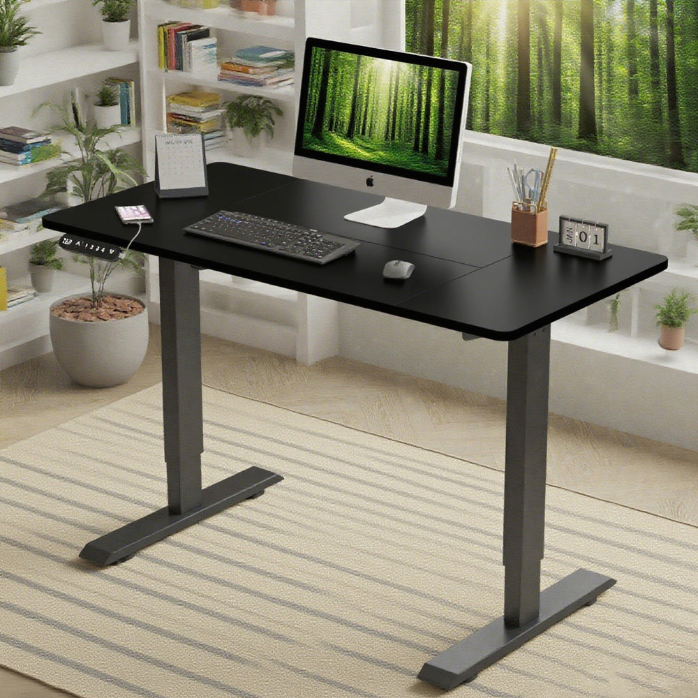 55'×24' Black Electric Standing Desk Height Adjustable Desk for Home a ...